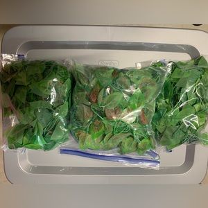 Artificial Hanging Plants